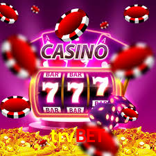Interface Premium trvbet